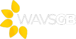 WavsGB - wheelchair accesible vehicles for sale